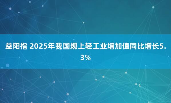 益阳指 2025年我国规上轻工业增加值同比增长5.3%